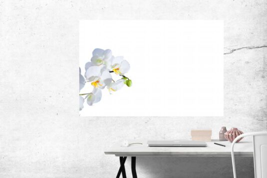 Wandbild weiße Orchidee